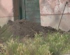 Elásták a saját kertjükben az 1 éves kis Luckát, azt hazudták beteg, azért nincs otthon