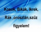 Kosok, Bikák, Ikrek,Rák ,oroszlán,szűz figyelem! Mai horoszkóp
