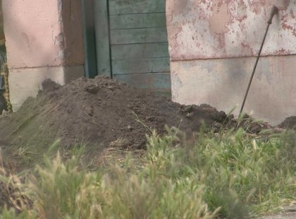 Elásták a saját kertjükben az 1 éves kis Luckát, azt hazudták beteg, azért nincs otthon