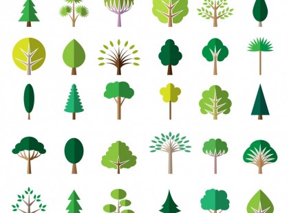 Ebből nyerheted a legtöbb lelki erőt, a gyógyulást! Születésnapod megmutatja, milyen fa vagy te