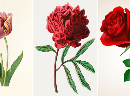 Válassz egy virágot: mindent megtudhatsz a személyiségedről, amiről eddig fogalmad sem volt