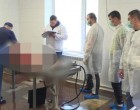 Hullaházba vitték halottakat mosdatni az ittas vezetésen elkapott sofőröket – Hamarabb visszakaphatják elvett jogosítványukat !Szerinted is jó ötlet?