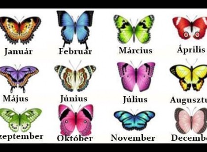 Válaszd ki születési hónapod pillangóját, zavarba ejtő dolgokat árul el rólad