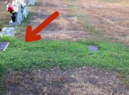 A szülők nem tudták, miért csak a fiuk sírja zöld. Amikor kiderült, zokogni kezdtek