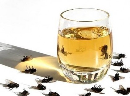 Helyezd el ezt az otthonodban és 1 órán belül eltűnnek a legyek, szúnyogok és a bogarak!