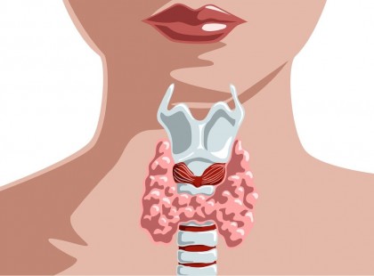 Amit az orvosok titkolnak: egyetlen szer megjavítja a pajzsmirigy működését