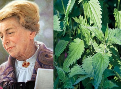 “Ha az emberek tudnánk, mennyi gyógyhatása van a csalánnak, csak csalánt termesztenének” – Maria Treben