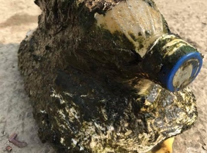 A férfi műanyag palackot lát úszni a tengerben. Amikor azonban közelebbről megnézi sokkot kap