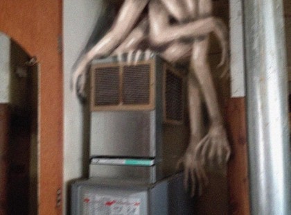 FOLYTON ELTŰNT A KAJÁJA A HŰTŐBŐL, FELSZERELT EGY KAMERÁT – A VÉR IS MEGFAGYOTT BENNE ATTÓL, AMIT RÖGZÍTETT