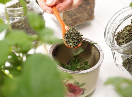 Ez a növény kell minden nőnek. A felpuffadt beleket kipucolja, a stresszt és a herpeszt el lehet felejteni!Akár a te konyhában is lehet ilyen.