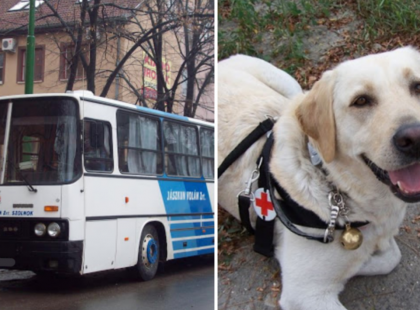 A vak fiammal Ádikával felszálltunk erre a vidéki buszra a vakvezető kutyusával együtt. A buszsofőr, amit művelni mert velünk arra nincsenek szavak..Ti mit tettetek volna? Köszönjük Szépen a segítséget!