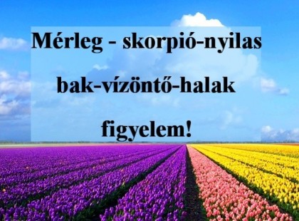 Mérleg - skorpió-nyilas -bak-vízöntő-halak figyelem!Holnapi horoszkóp