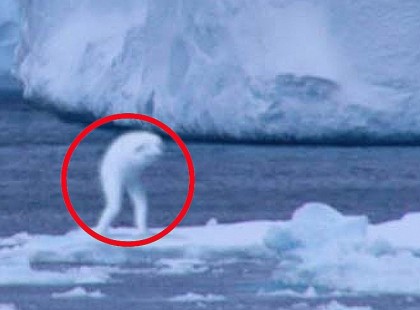 Amennyiben kiskorú is látja ezt, addig ne indítsa el a felvételt!! Csak felnőtteknek, és erős idegzetűeknek ajánlott!!