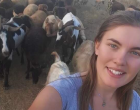EGYETLEN LÁNYOM EZZEL A MUNKÁVAL KERESI A KENYERÉT KÜLFÖLDÖN, AKIT CSÚNYÁN KIGÚNYOLTAK, MERT A SZÜLETÉSNAPJÁN IS EZT CSINÁLTA! VÁLASZA ENGEM IS MEGDÖBBENTETT! AMENNYIBEN EGYETÉRTENEK VELE, KÉREM BÁTORÍTSÁK ŐT PÁR SZÓVAL,ÉS KÜLDJÜNK NEKI SOK SZÍVECSKÉT 