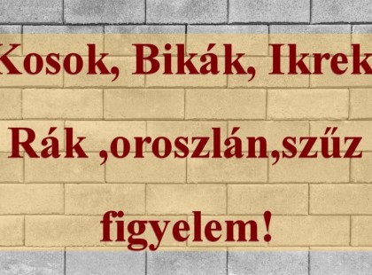 Kosok, Bikák, Ikrek,Rák ,oroszlán,szűz figyelem! Holnapi horoszkóp