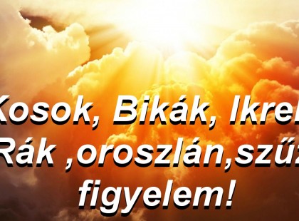 Kosok, Bikák, Ikrek,Rák ,oroszlán,szűz figyelem! Holnapi horoszkóp