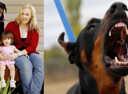 Ezt a pici lányt egyedül hagyták a dobermann kutyával… a játék hirtelen véget ért, amikor a kutya morogni kezdett és fogát vicsorgatta…