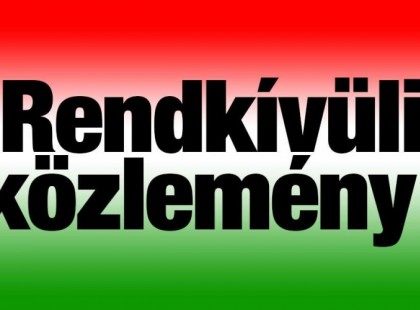 Rendkívül veszélyes rovar jelent meg hazánkban, ha ilyet lát azonnal távolodjon el tőle! A következő tüneteket produkálhatja a csípése >>>>>>>