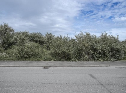 Gyereksírást hallottak az út széléről. Közelebb érve nem akartak hinni a szemüknek