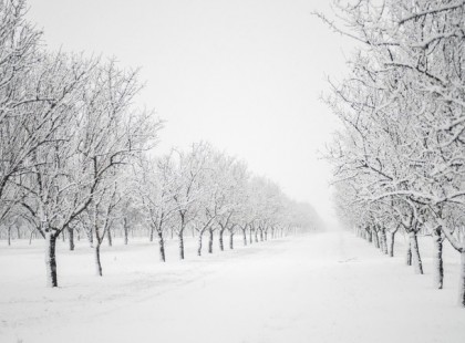 Most már biztos: Az elmúlt 100 év egyik leghidegebb és a leghosszabb tele jön most!Itt az előrejelzés!