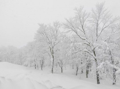 Borzalmas hideg tél vár ránk! ITT NAGY 4 HÓNAPOS előrejelezés : NOVEMBERRE, DECEMBERRE, JANUÁRRA, FEBRUÁRRA!