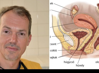 Felfázás, avagy alsó húgyuti fertőzések nőknél Miért olyan gyakoriak a húgyúti fertőzések nőknél és hogyan lehet megelőzni kialakulásukat? Az alábbi összefoglalóban megismerheti