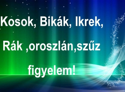 Kosok, Bikák, Ikrek,Rák ,oroszlán,szűz figyelem! Holnapi horoszkóp (csütörtök)