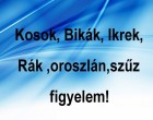 Kosok, Bikák, Ikrek,Rák ,oroszlán,szűz figyelem! Mai horoszkóp (szombat)