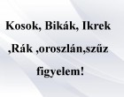 Kosok, Bikák, Ikrek,Rák ,oroszlán,szűz figyelem! Holnapi horoszkóp (szombat)