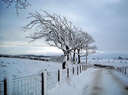 Teljesen hülyét csinál belőlünk a tél? NEM HISZED EL milyen IDŐ JÖN A NAPOKBAN!