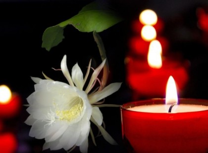 Gyászol Magyarország: elhunyt az egyik legnagyobb színésznőnk!