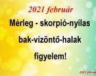 Friss!Megérkezett a nagy 2021-es nagy februári horoszkóp:Mérleg - skorpió-nyilas -bak-vízöntő-halak figyelem!