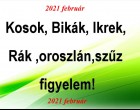 Friss!! Megérkezett a nagy 2021-es februári horoszkóp:Kosok, Bikák, Ikrek,Rák ,oroszlán,szűz figyelem!
