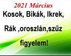 Megérkezett a nagy 2021-es márciusi horoszkóp:Kosok, Bikák, Ikrek,Rák ,oroszlán,szűz figyelem!