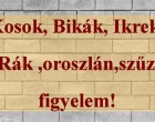 Kosok, Bikák, Ikrek,Rák ,oroszlán,szűz figyelem! Mai horoszkóp (péntek)