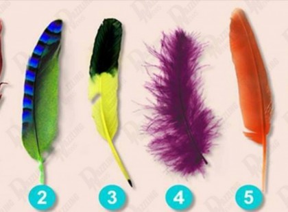 Válassz egy tollat és tudd meg, milyen ember vagy! A teszt pontossága mindenkit meglep!