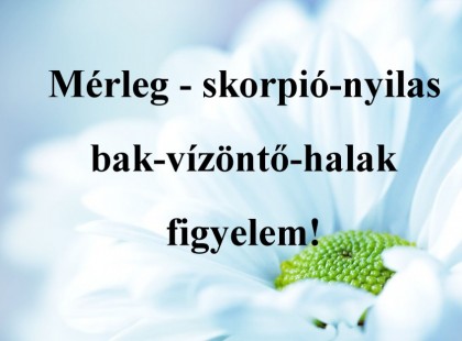 Mérleg - skorpió-nyilas -bak-vízöntő-halak figyelem!Mai horoszkóp (péntek)