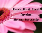 Kosok, Bikák, Ikrek,Rák ,oroszlán,szűz figyelem! Holnapi horoszkóp (hétfő)