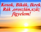 Napi horoszkóp !Kosok, Bikák, Ikrek,Rák ,oroszlán,szűz figyelem! Mai horoszkóp (péntek)