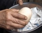 Ilyet még nem láttál! Negyed kilós tojást tojt a kínai tyúk, nem találod ki mi volt benne!