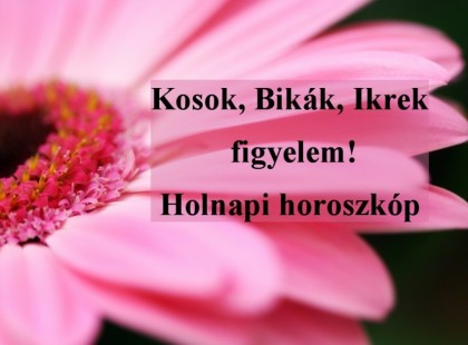 Kosok, Bikák, Ikrek,Rák ,oroszlán,szűz figyelem! Holnapi horoszkóp (hétfő)