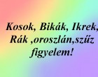 Kosok, Bikák, Ikrek,Rák ,oroszlán,szűz figyelem!Holnapi horoszkóp (Szombat)
