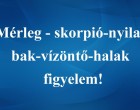 Mérleg - skorpió-nyilas -bak-vízöntő-halak figyelem!Holnapi horoszkóp (péntek)