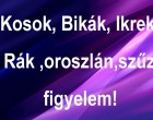 Kosok, Bikák, Ikrek,Rák ,oroszlán,szűz figyelem!Mai horoszkóp (hétfő)