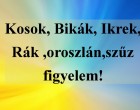 Kosok, Bikák, Ikrek,Rák ,oroszlán,szűz figyelem!Mai horoszkóp (péntek)