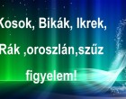 Kosok, Bikák, Ikrek,Rák ,oroszlán,szűz figyelem!Mai horoszkóp (péntek)