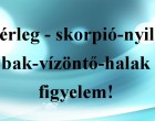 Mérleg - skorpió-nyilas -bak-vízöntő-halak figyelem!Mai horoszkóp (kedd)