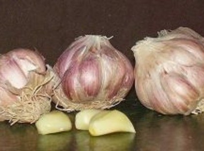 Nagyon figyelj oda a fokhagymával az alábbi helyzetekben, életveszélyes lehet!