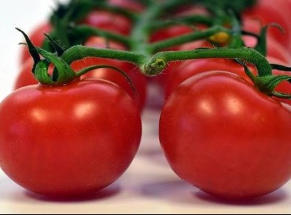 Ezt senki nem mondta eddig: ez történik a szervezeteddel, ha naponta eszel paradicsomot!