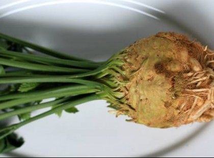 Rákmegelőző, gyulladáscsökkentő, erős zsírégető és még vérnyomásra is jó. Te tudod mi ez?